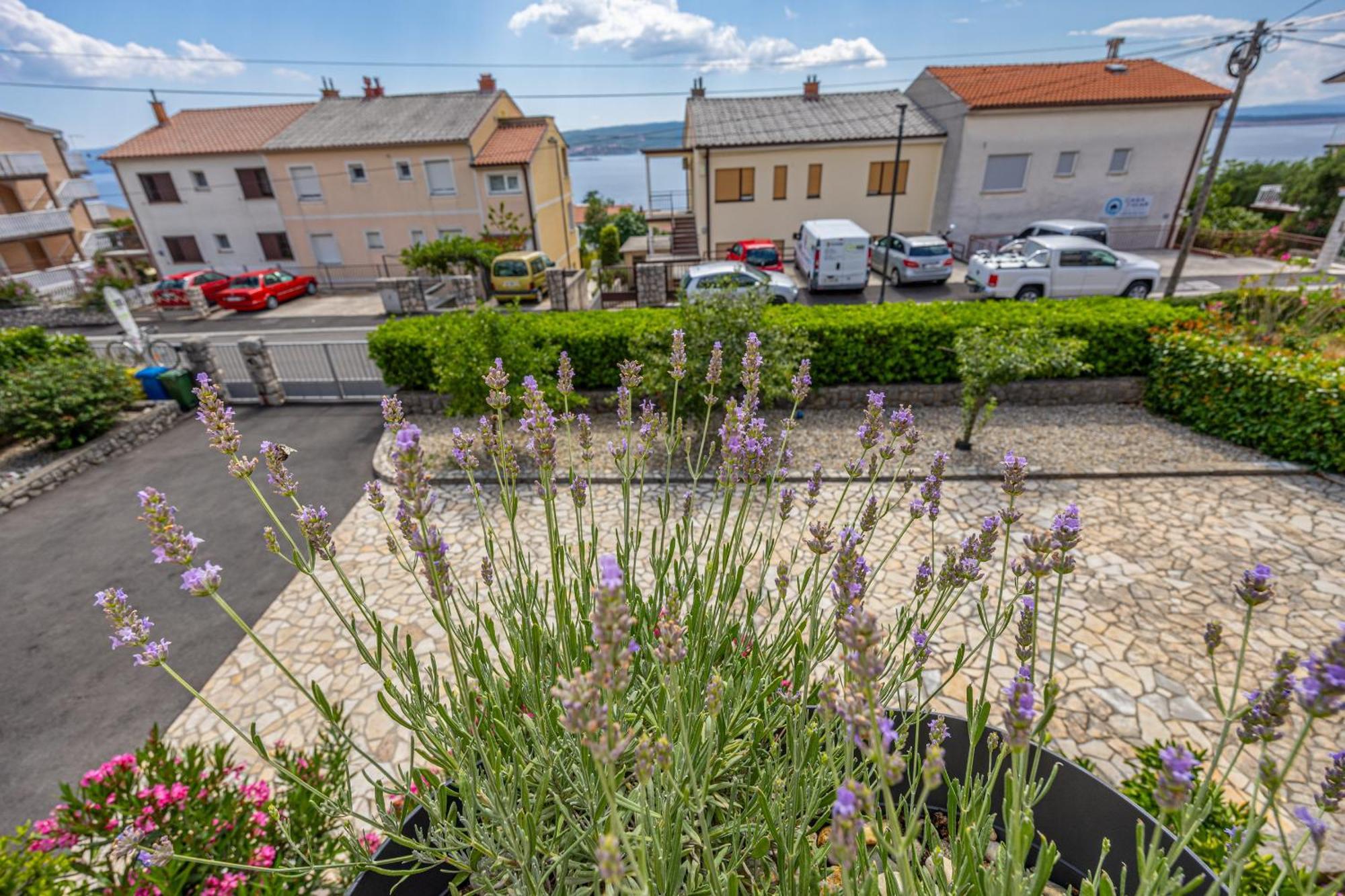 Apartament Alexis *