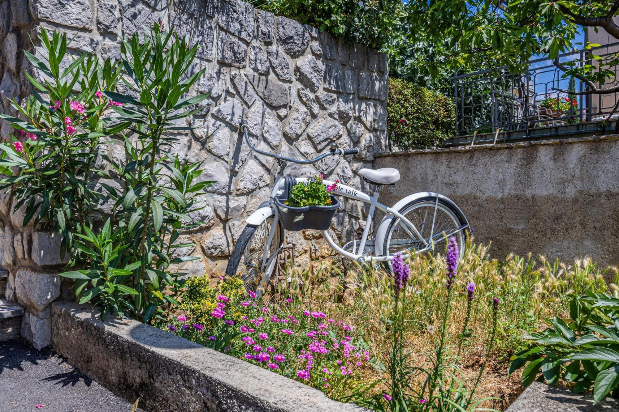 Alexis * Crikvenica